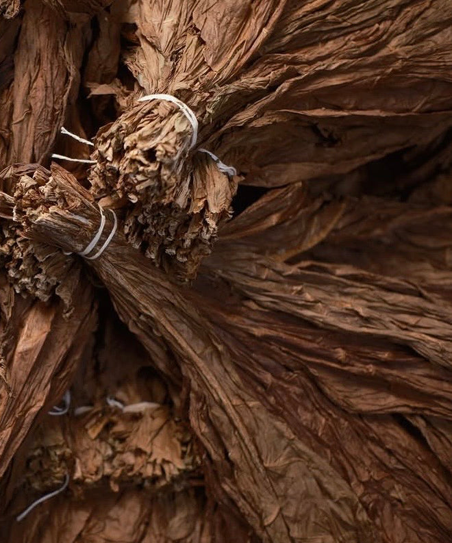 Cigar Tobacco Leaves