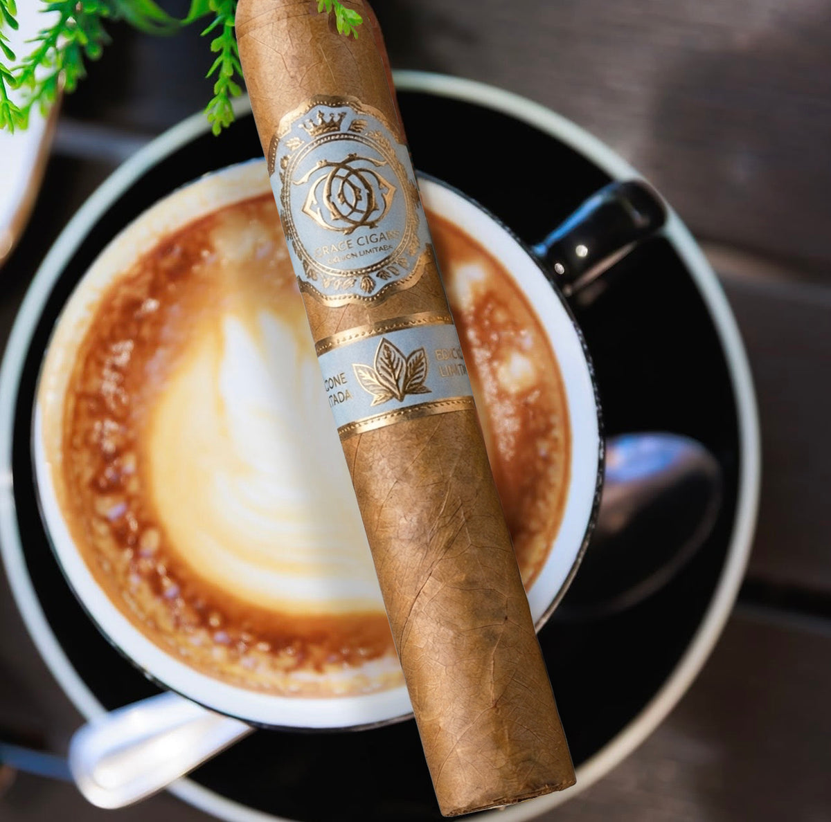 Grace Cigars Boutique Cigars