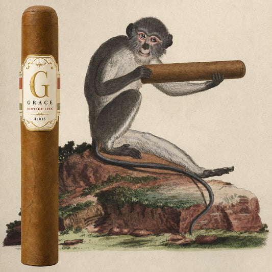 Grace Cigars Vintage Boutique Cigar 
